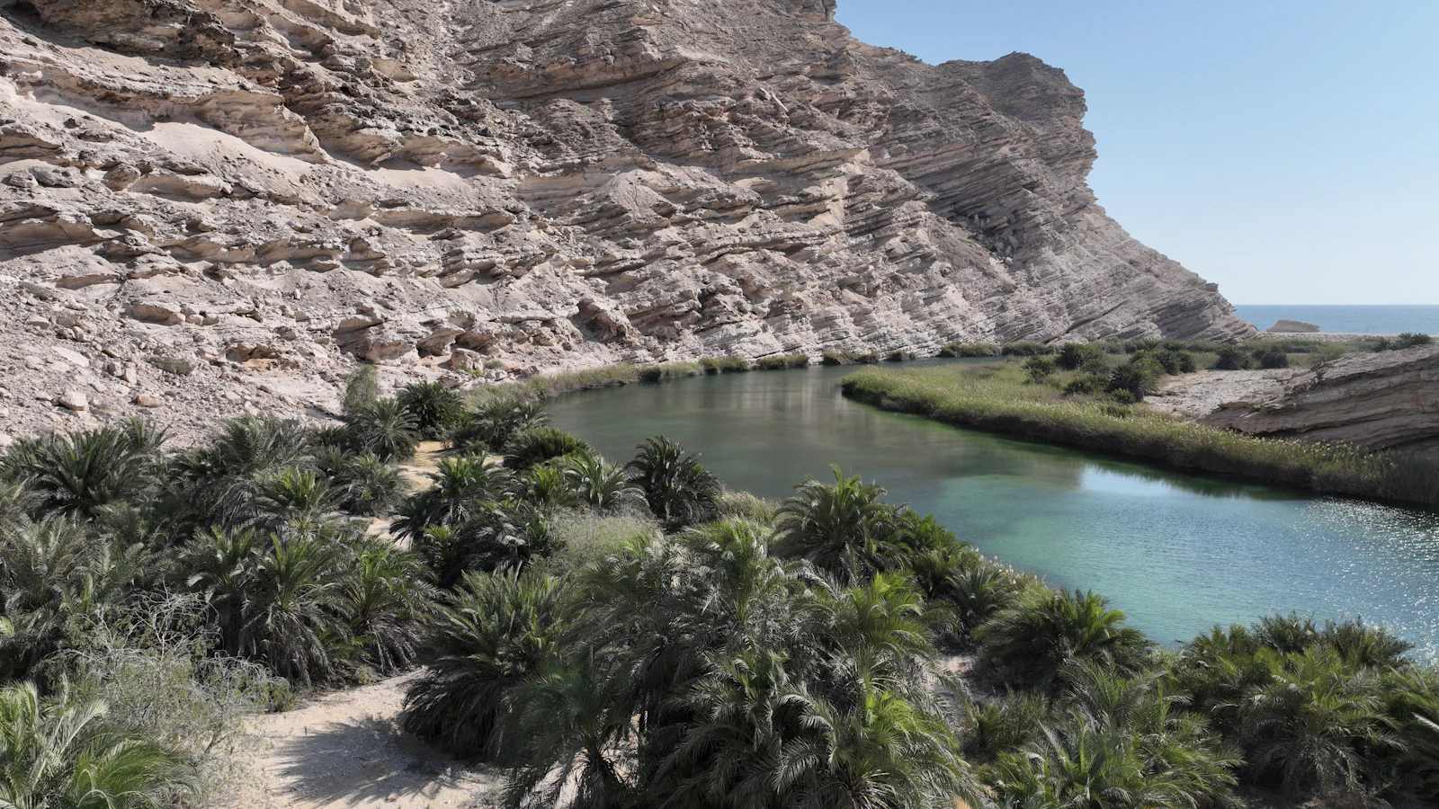 AlUla Dates Season road trip